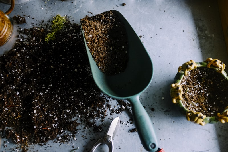 Teens gardening